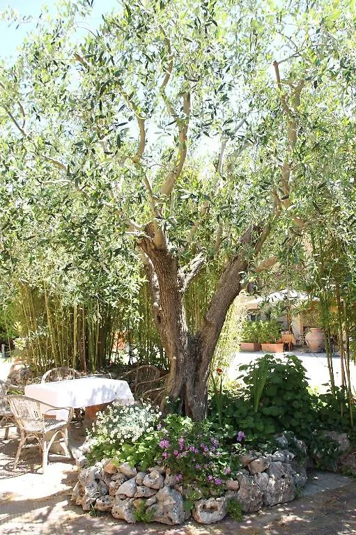 Hotel Tempio Di Apollo Rome